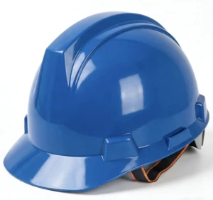 HDPE Blue helmet